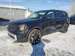 KIA Telluride salvage cars for sale: 2024 KIA Telluride SX