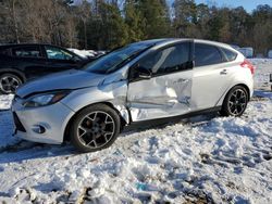 Salvage cars for sale at Seaford, DE auction: 2013 Ford Focus SE