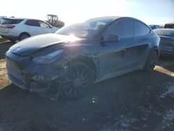 Salvage cars for sale at Brighton, CO auction: 2023 Tesla Model Y