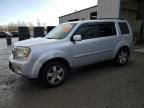 2009 Honda Pilot EXL