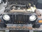 1998 Jeep Wrangler / TJ Sport