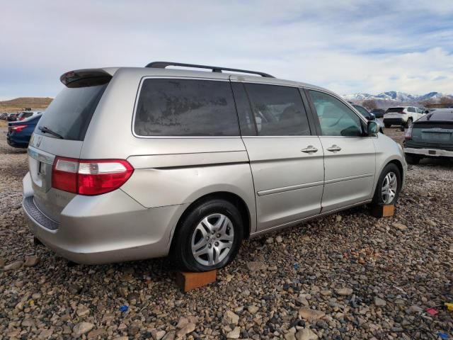 2005 Honda Odyssey EXL