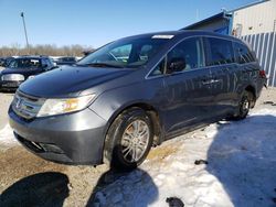 Vehiculos salvage en venta de Copart Louisville, KY: 2012 Honda Odyssey EXL