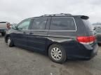 2010 Honda Odyssey EXL