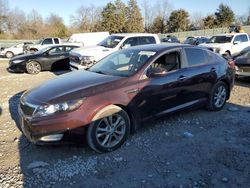 Salvage cars for sale at Madisonville, TN auction: 2013 KIA Optima EX