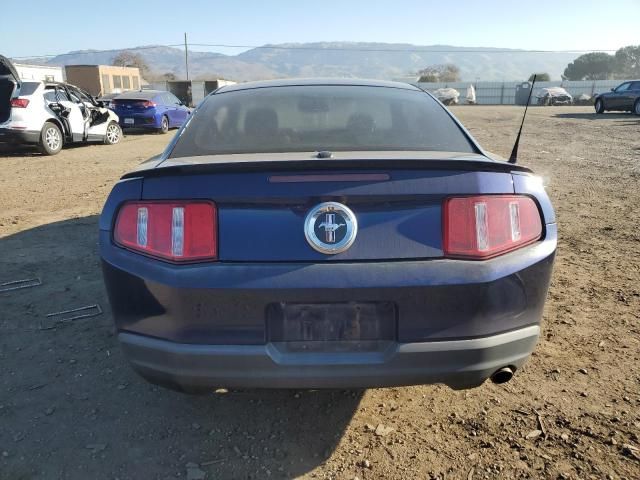 2010 Ford Mustang