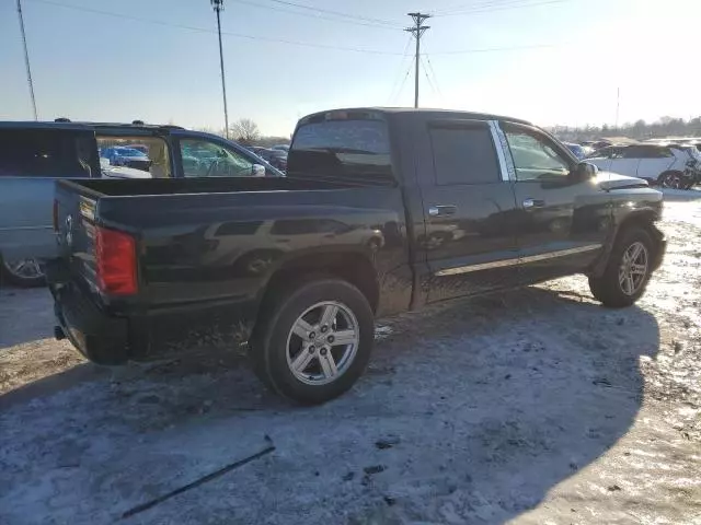 2008 Dodge Dakota SXT