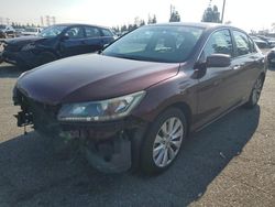 Honda salvage cars for sale: 2014 Honda Accord EXL