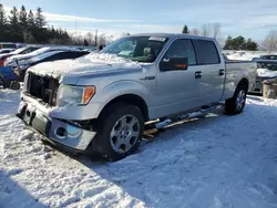 Ford salvage cars for sale: 2010 Ford F150 Supercrew