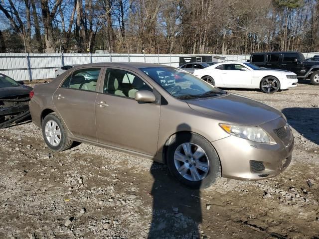 2010 Toyota Corolla Base