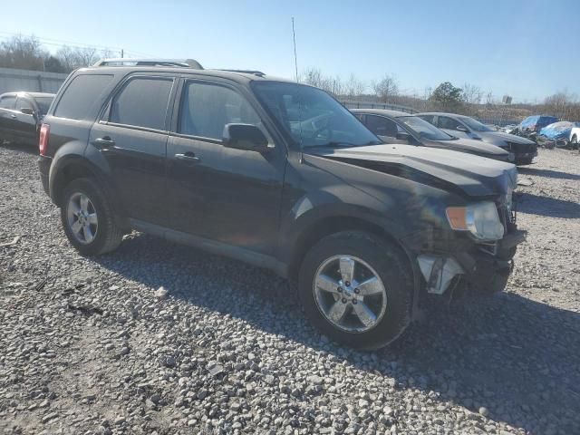 2010 Ford Escape Limited