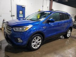 2017 Ford Escape SE en venta en Blaine, MN