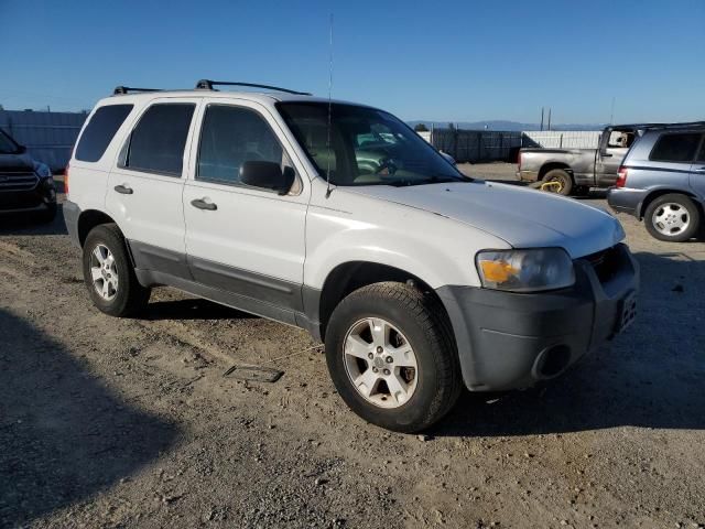 2005 Ford Escape XLT