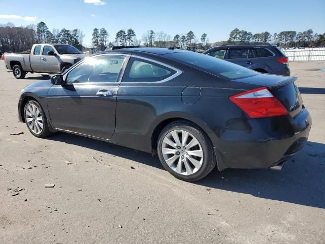 2010 Honda Accord EXL