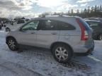 2007 Honda CR-V EXL