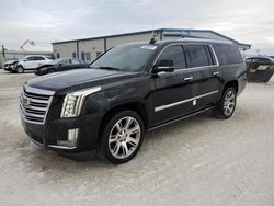 Salvage cars for sale at Arcadia, FL auction: 2016 Cadillac Escalade ESV Premium