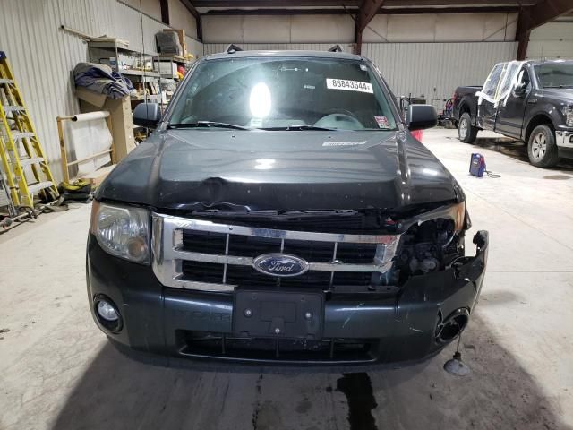 2009 Ford Escape XLT