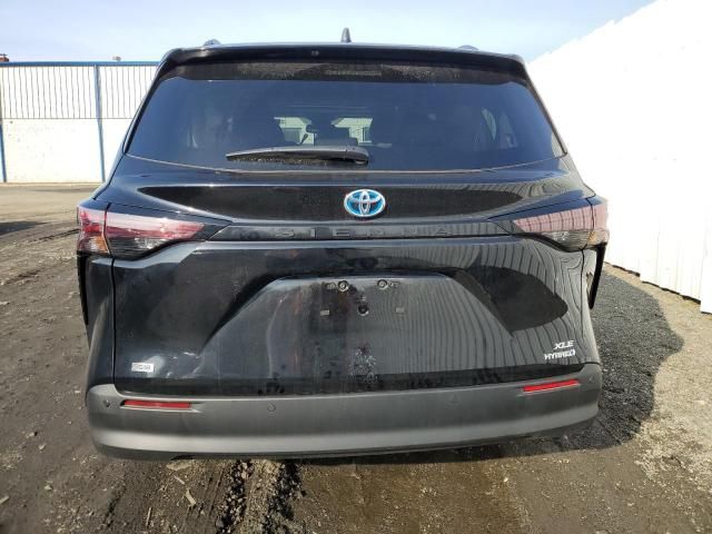 2024 Toyota Sienna XLE