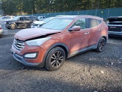 Hyundai Vehiculos salvage en venta: 2014 Hyundai Santa FE Sport