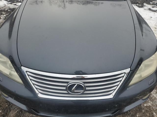 2010 Lexus LS 460