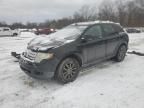 2008 Ford Edge SEL