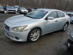 Nissan salvage cars for sale: 2009 Nissan Maxima S