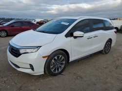 Honda Odyssey exl Vehiculos salvage en venta: 2024 Honda Odyssey EXL