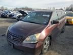 2009 Honda Odyssey EX