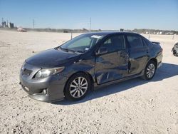 2010 Toyota Corolla Base en venta en New Braunfels, TX