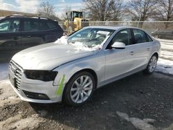 Salvage cars for sale at Laurel, MD auction: 2013 Audi A4 Premium Plus