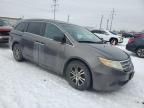 2011 Honda Odyssey EXL