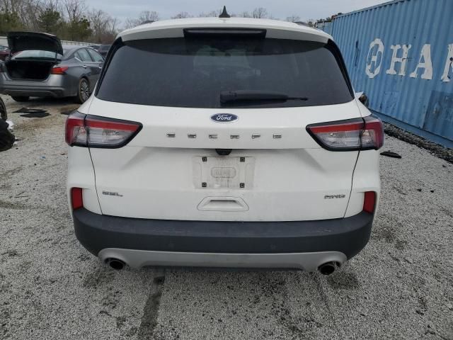 2021 Ford Escape SEL