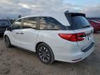 2024 Honda Odyssey EXL