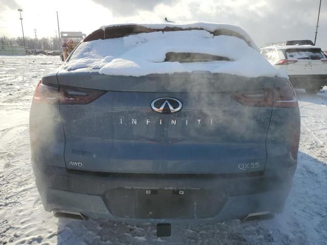 2022 Infiniti QX55 Sensory