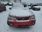 2007 Ford Escape Limited