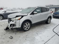 Salvage cars for sale at Wayland, MI auction: 2014 Ford Escape Titanium