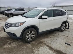 Salvage cars for sale at Walton, KY auction: 2013 Honda CR-V EXL