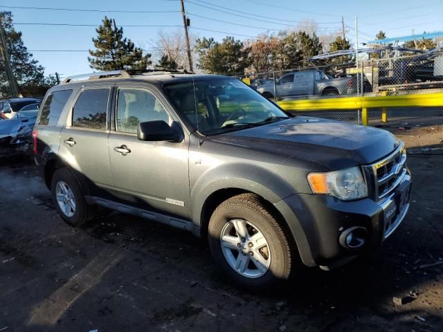 2008 Ford Escape HEV