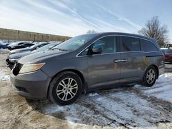 2011 Honda Odyssey EXL en venta en Laurel, MD