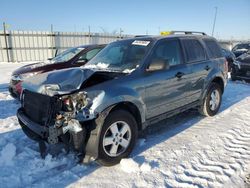 Ford salvage cars for sale: 2012 Ford Escape XLT