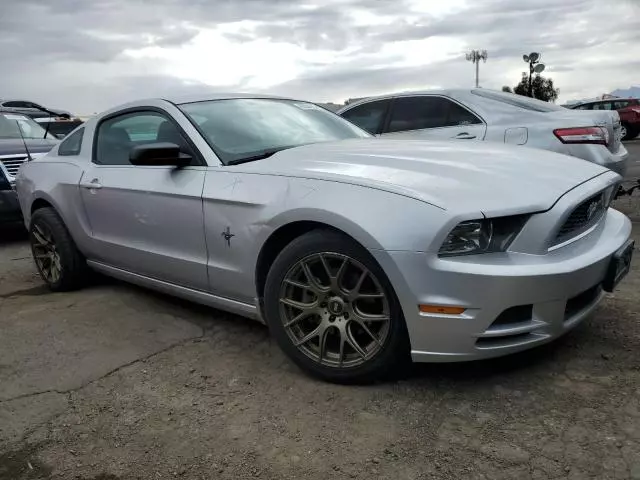 2013 Ford Mustang