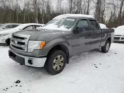 Salvage cars for sale at Cookstown, ON auction: 2014 Ford F150 Supercrew