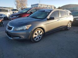 Salvage cars for sale at Albuquerque, NM auction: 2008 Honda Accord EXL