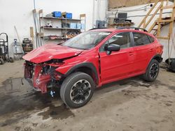 Salvage cars for sale at Ham Lake, MN auction: 2023 Subaru Crosstrek