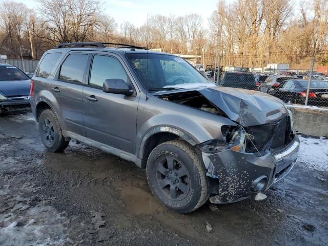 2009 Ford Escape Limited