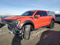 Ford Vehiculos salvage en venta: 2023 Ford F150 Raptor