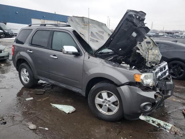 2012 Ford Escape XLT