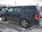 2014 Honda Pilot EXL