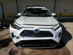 2023 Toyota Rav4 SE