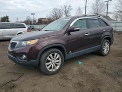 KIA Vehiculos salvage en venta: 2011 KIA Sorento EX